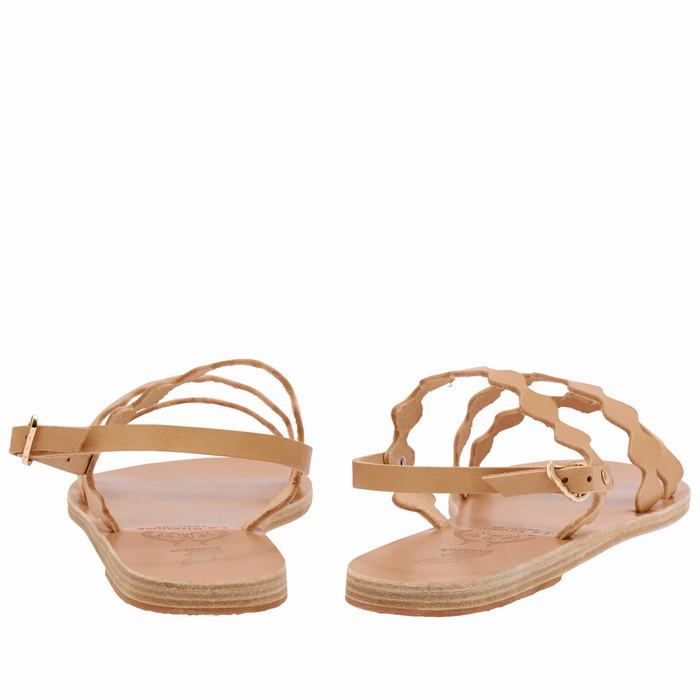 Sandales Bride Arrière Ancient Greek Sandals Clio Onda   | SWP-9178178